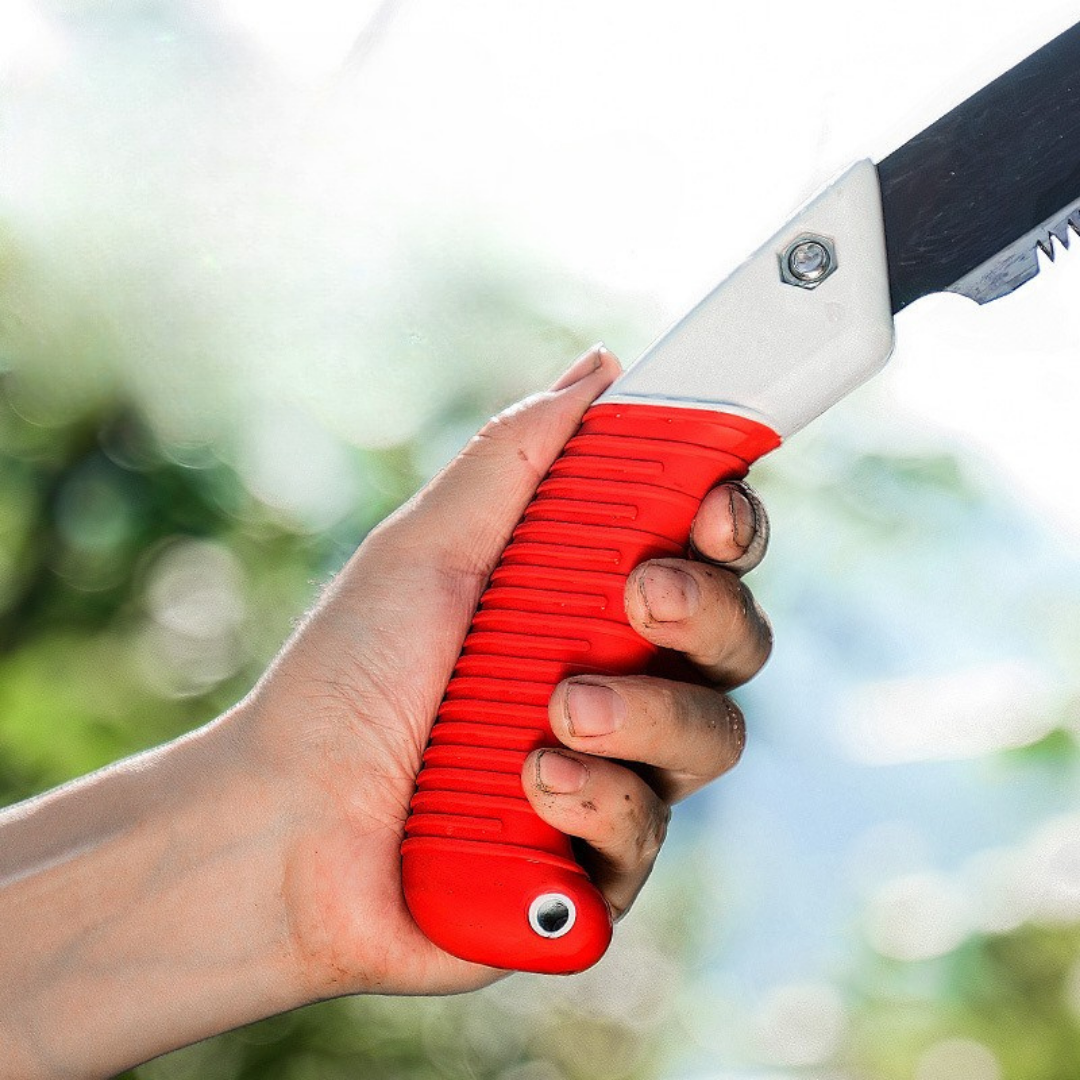 Scie d'élagage de bois