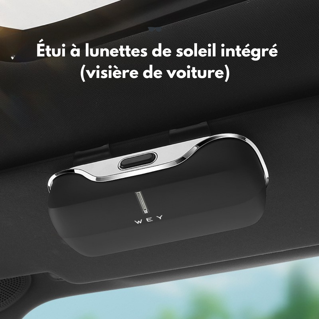 Boîte à lunettes de voiture GB
