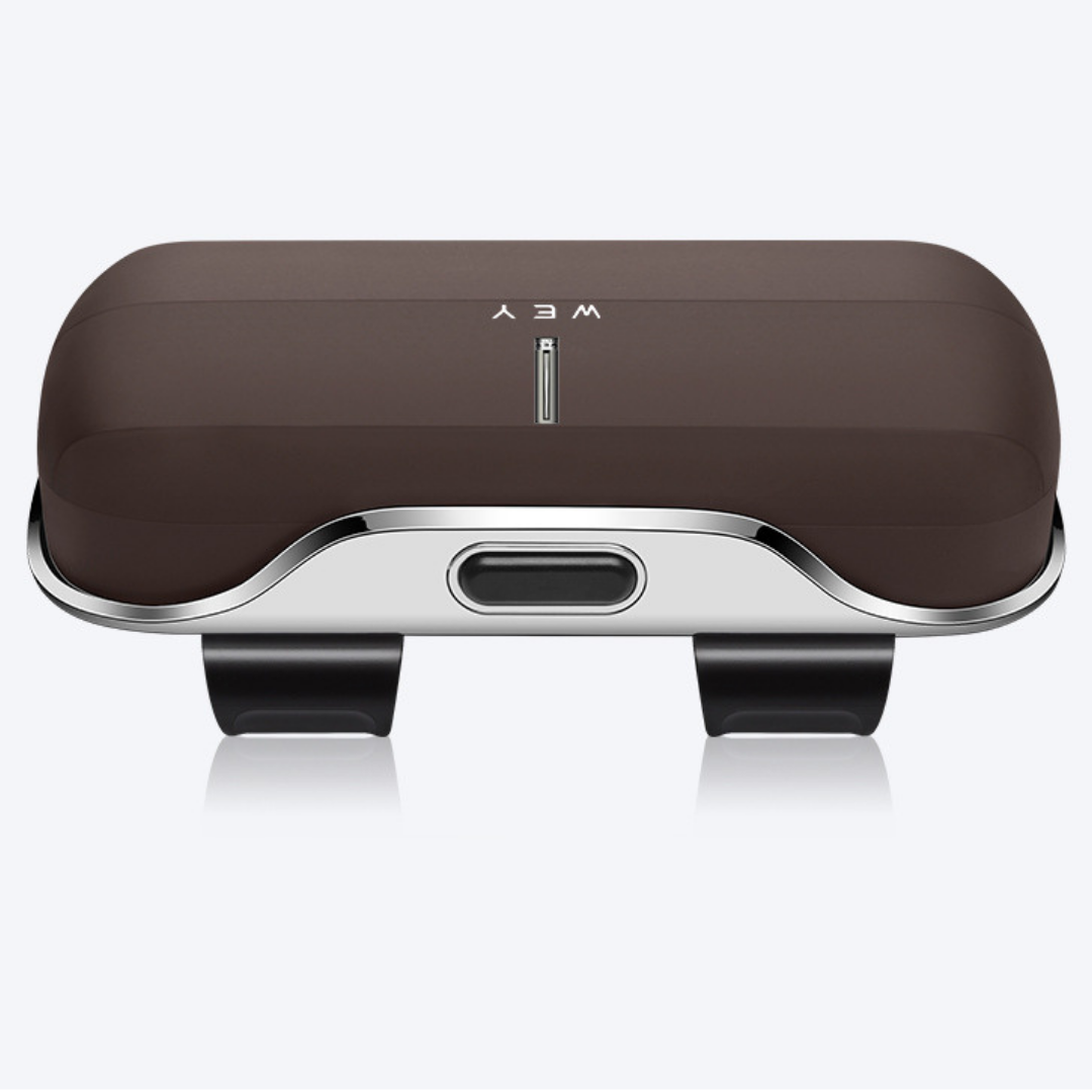 Boîte à lunettes de voiture GB